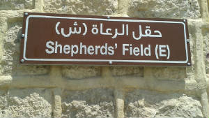 shepherds-field-ee.jpg